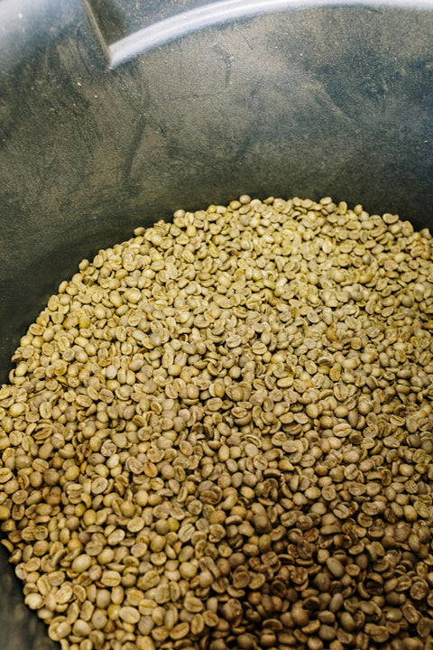 Green Beans Sarchimor