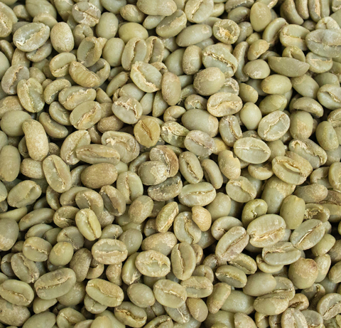 Green Beans Catuai